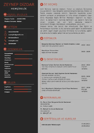 Sağlık Çalışanı Cv Örnekleri cv indir